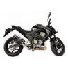 Special Carbon Roadsitalia Kawasaki Z 800 E 2012-2016