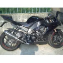 Special Carbon Roadsitalia Kawasaki Zx-10r 2008-2009