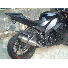 Special Titanium Roadsitalia Kawasaki Zx-10r 2008-2009