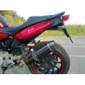 Special Carbon Roadsitalia Bmw F 800 S