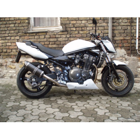 Special Carbon Roadsitalia Suzuki GSF Bandit 1200 1996-2005