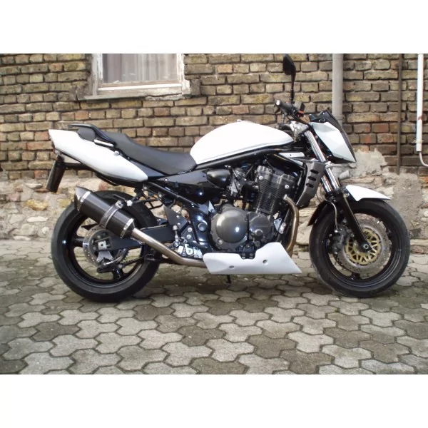 Special Carbon Roadsitalia Suzuki GSF Bandit 1200 1996-2005