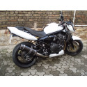 Special Carbon Roadsitalia Suzuki GSF Bandit 1200 1996-2005