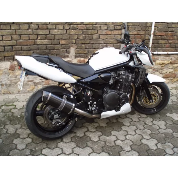 Special Carbon Roadsitalia Suzuki GSF Bandit 1200 1996-2005
