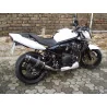 Special Carbon Roadsitalia Suzuki GSF Bandit 1200 1996-2005