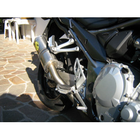 Short Titanium Roadsitalia Suzuki GSF Bandit 1250 07-16