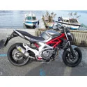 Special Titanium Roadsitalia Suzuki Gladius 650