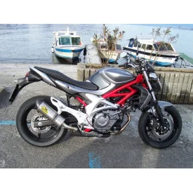 Special Titanium Roadsitalia Suzuki Gladius 650