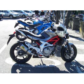 Special Titanium Roadsitalia Suzuki Gladius 650