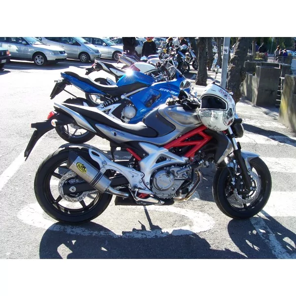 Special Titanium Roadsitalia Suzuki Gladius 650