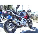 Special Titanium Roadsitalia Suzuki Gladius 650