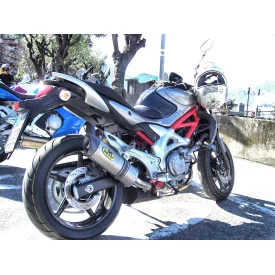 Special Titanium Roadsitalia Suzuki Gladius 650