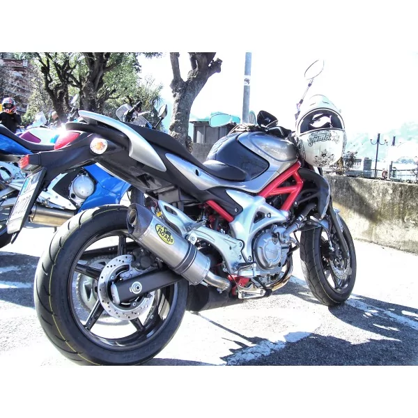 Special Titanium Roadsitalia Suzuki Gladius 650