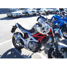 Special Titanium Roadsitalia Suzuki Gladius 650