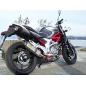 Special Titanium Roadsitalia Suzuki Gladius 650