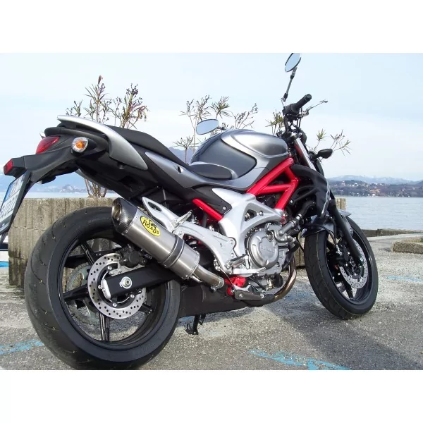 Special Titanium Roadsitalia Suzuki Gladius 650