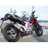 Special Titanium Roadsitalia Suzuki Gladius 650
