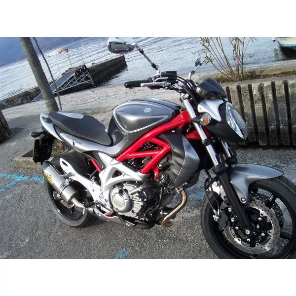 Special Titanium Roadsitalia Suzuki Gladius 650