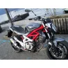 Special Titanium Roadsitalia Suzuki Gladius 650