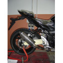 Special Carbon Roadsitalia Suzuki GSR 750