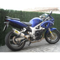 Special Titanium Roadsitalia Suzuki SV 650 1998-2002