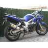 Special Titanium Roadsitalia Suzuki SV 650 1998-2002