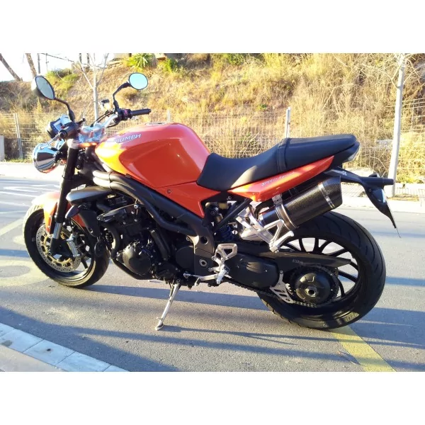 Special Carbon Roadsitalia Triumph Speed Triple 1050 2016-2017