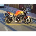 Special Carbon Roadsitalia Triumph Speed Triple 1050 2016-2017