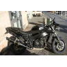 Special Carbon Roadsitalia Triumph Speed Four