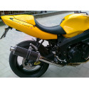 Short Carbon Roadsitalia Triumph Daytona 600