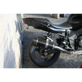 Special Carbon Roadsitalia Triumph Daytona 600