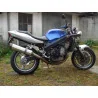 Special Titanium Roadsitalia Triumph Baby Speed 600