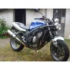 Special Titanium Roadsitalia Triumph Baby Speed 600