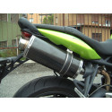 Short Carbon Roadsitalia Triumph Street Triple 675 2007-2012