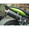 Short Carbon Roadsitalia Triumph Street Triple 675 2007-2012