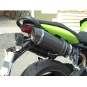 Special Carbon Roadsitalia Triumph Street Triple 675 2007-2012
