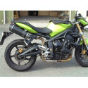 Special Carbon Roadsitalia Triumph Street Triple 675 2007-2012