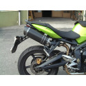 Special Carbon Roadsitalia Triumph Street Triple 675 2007-2012