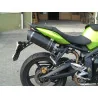 Special Carbon Roadsitalia Triumph Street Triple 675 2007-2012