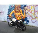 Doublefire Carbon Roadsitalia Triumph Street Triple 675 2007-2012