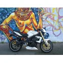 Doublefire Carbon Roadsitalia Triumph Street Triple 675 2007-2012