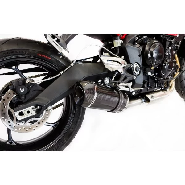 Special Carbon Roadsitalia Triumph Street Triple 675 2013-2016