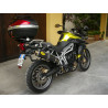 Ovale Carbon Roadsitalia Triumph Tiger 800 2010-2016