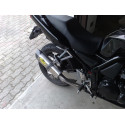 Special Titanium Roadsitalia Yamaha Fazer 600