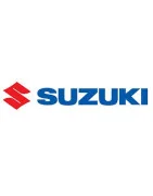 Échappements Homologués Pour Suzuki GS 500 - Roadsitalia