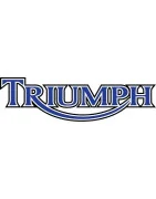 Approved Exhausts For Triumph - Roadsitalia