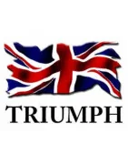 Échappements Homologués Pour Triumph Tiger - Roadsitalia