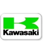 Échappements Homologués Pour Kawasaki Ninja 250 2008-2012 - Roadsitalia