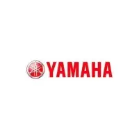 Yamaha MT-09 2013-2016