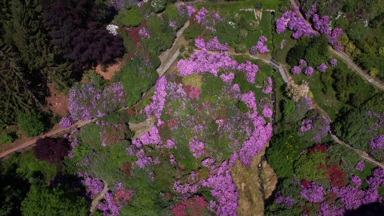 Conca dei Rododendri - Roadsitalia